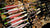 Fleche de chasse DEAD FLIGHT CORE XT