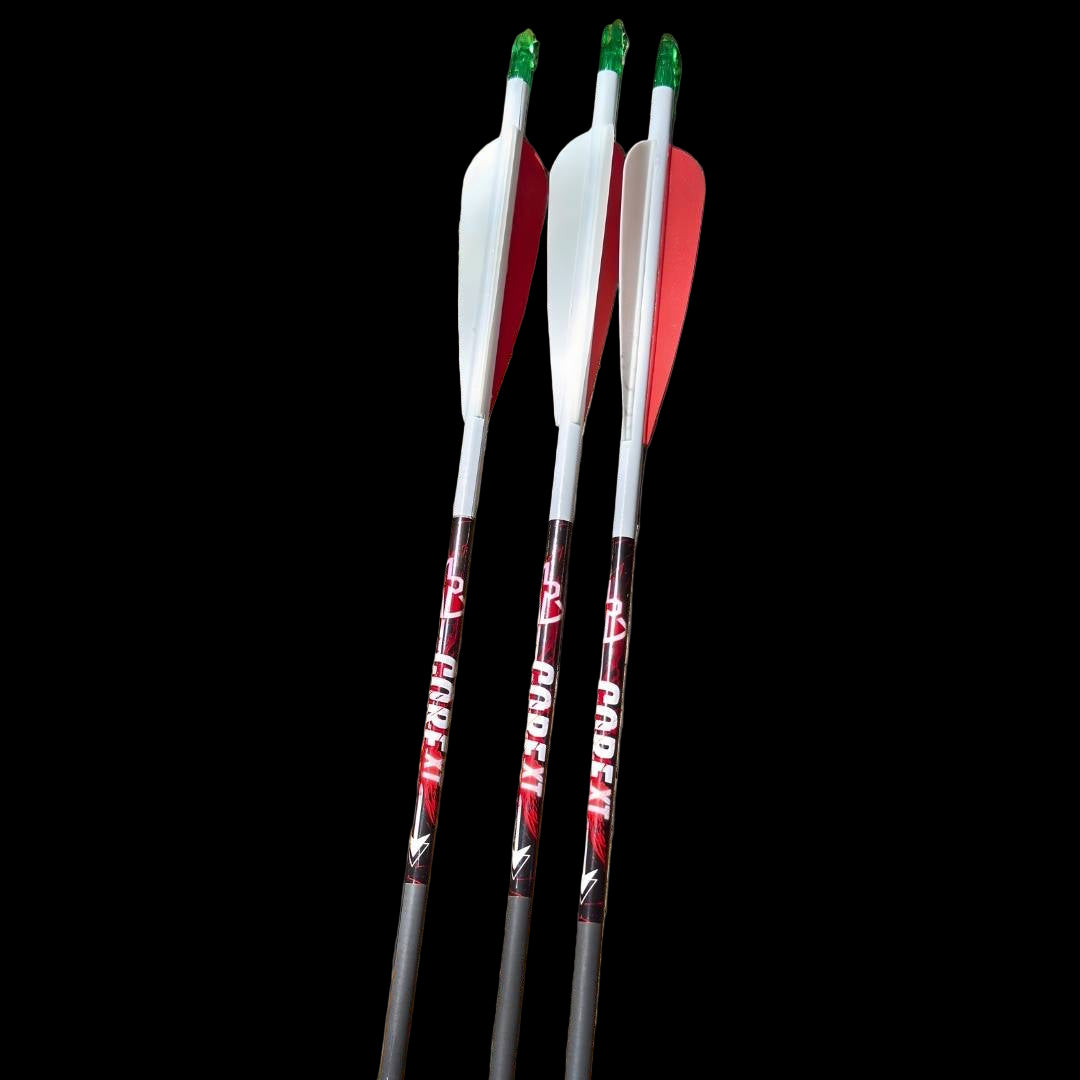 Fleches core xt pour la chasse