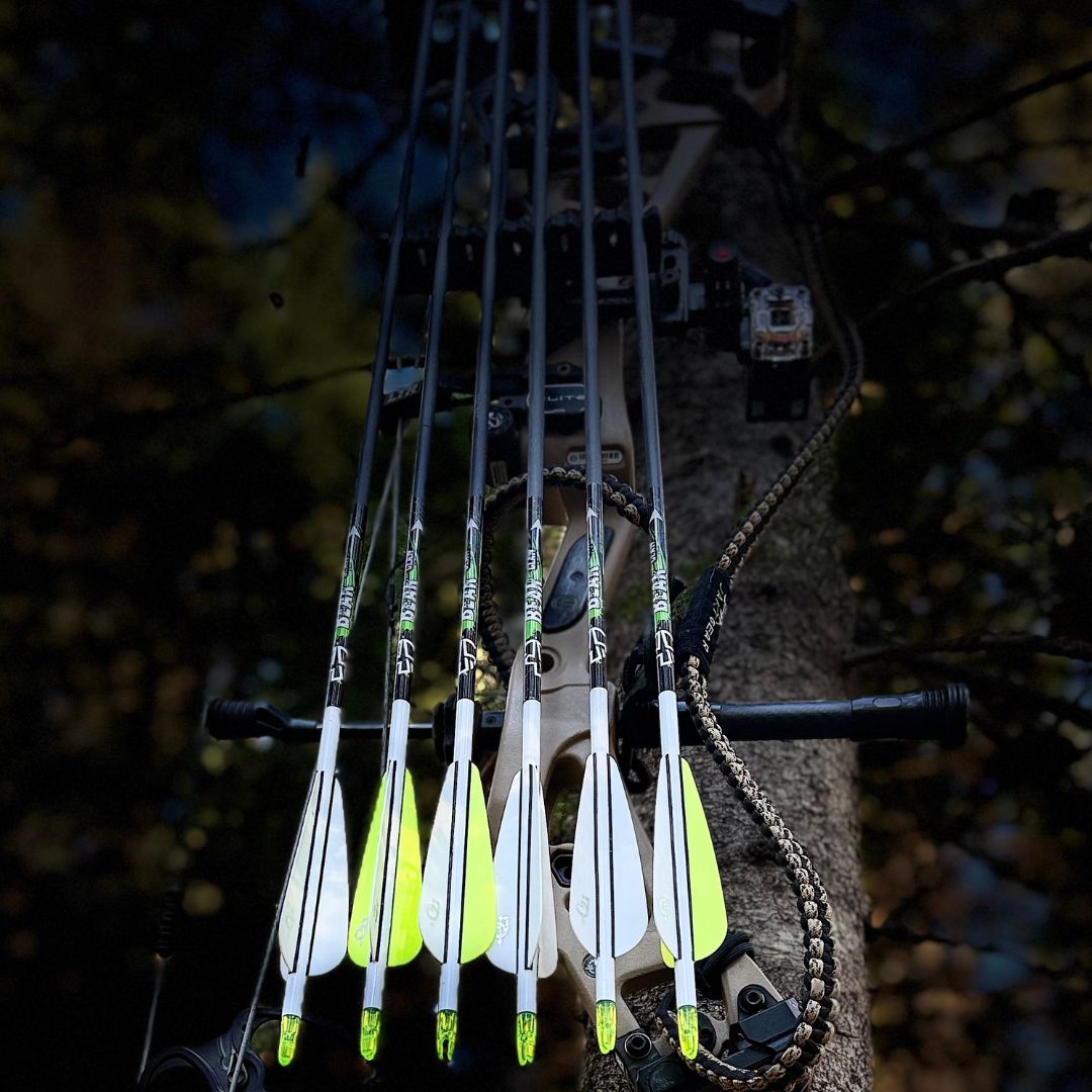 Bear Claw - Flèches d'arc