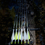 Bear Claw - Flèches d'arc