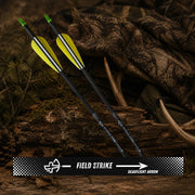 Field Strike - Bow Arrows