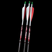 Fleches core xt pour la chasse
