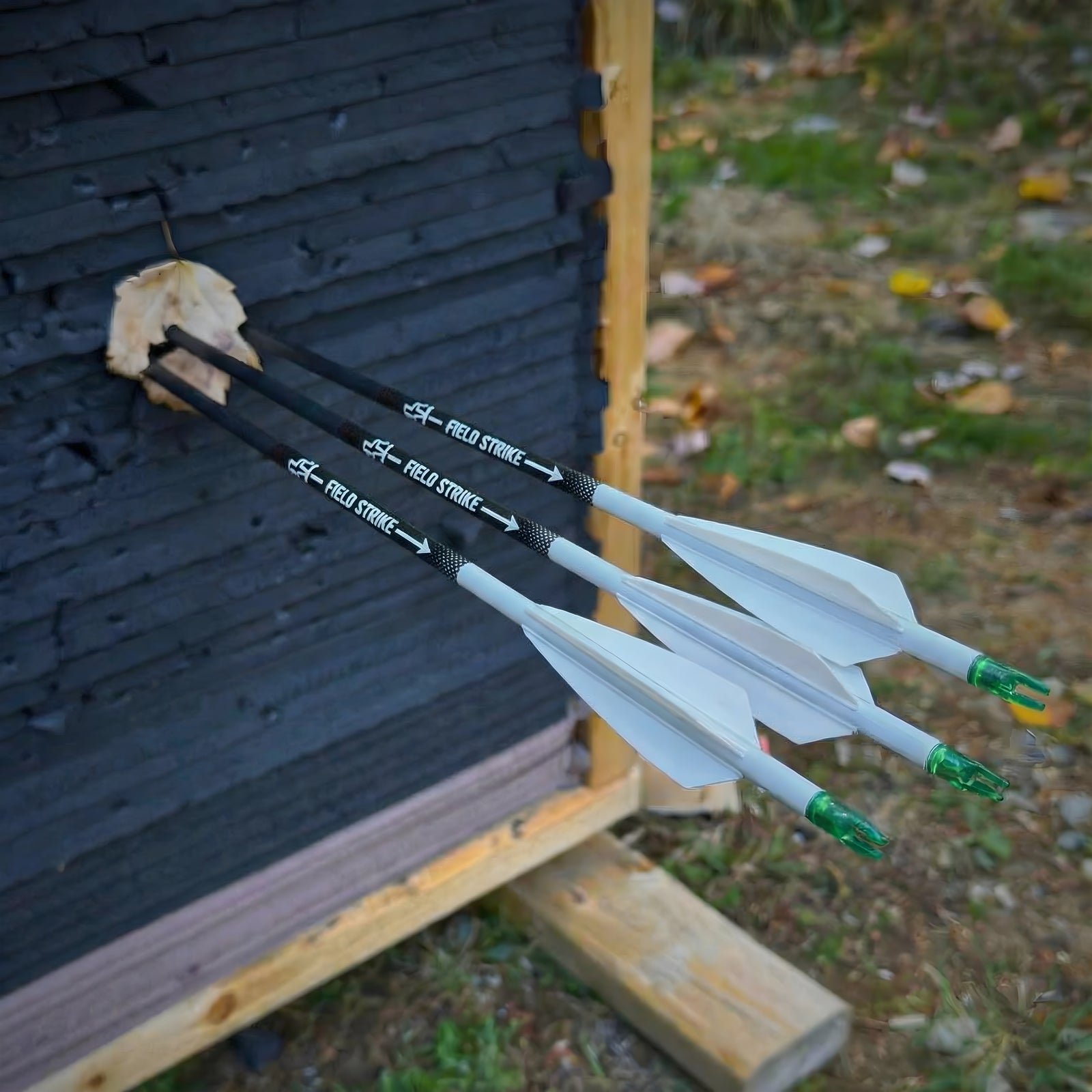 Field Strike - Flèches d'arc