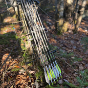 Bear Claw - Flèches d'arc